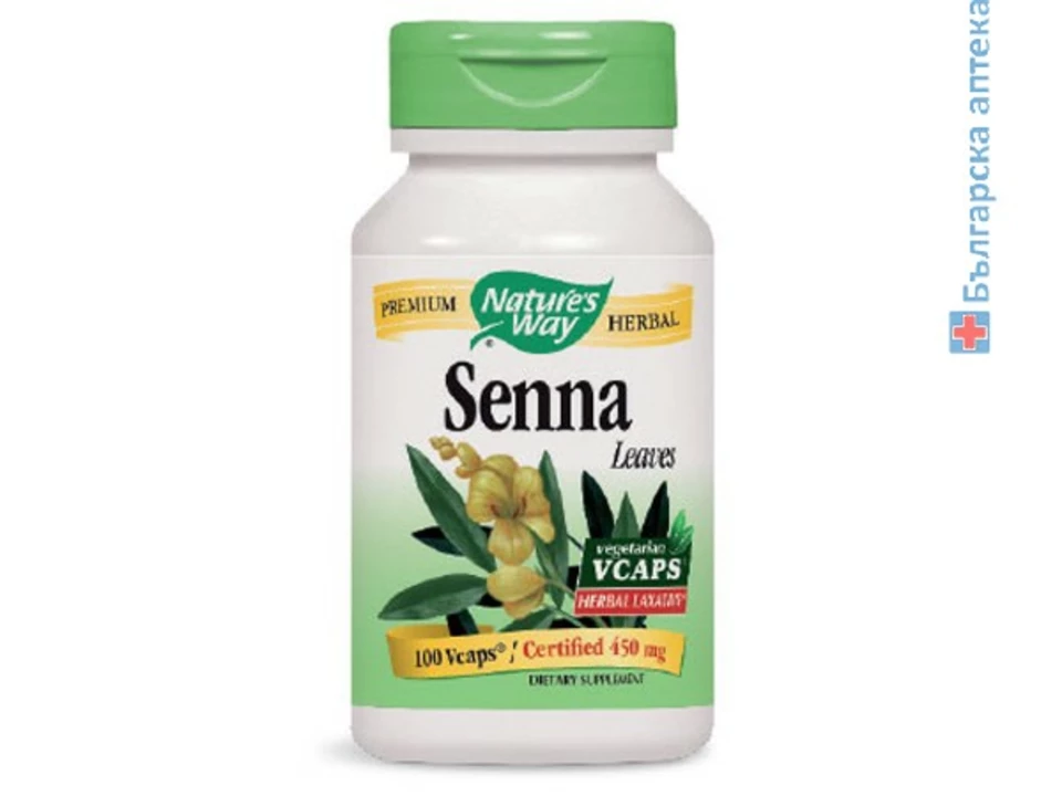 Discover the Incredible Healing Properties of Yerba Mansa Dietary Supplement