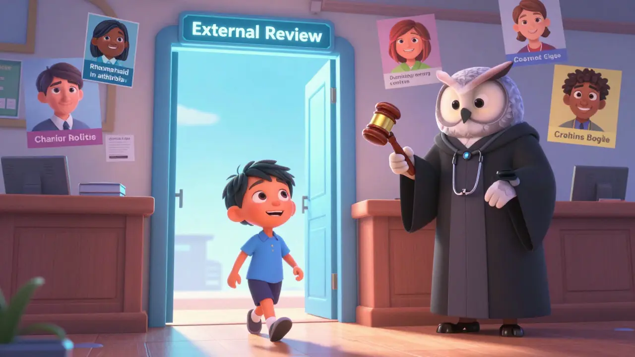 A patient walks through a portal into a courtroom where a wise owl judge holds a stethoscope gavel, surrounded by success stories.